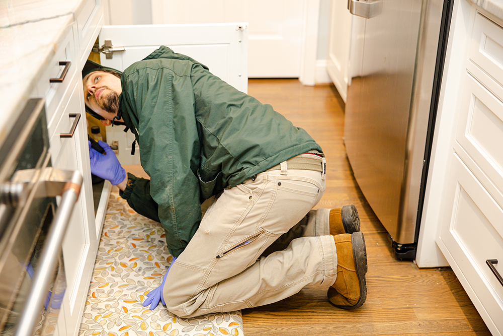 bedbug infestation in Alexandria, VA a commercial pest control technician looking for signs of a bedbug infestation in Alexandria, VA