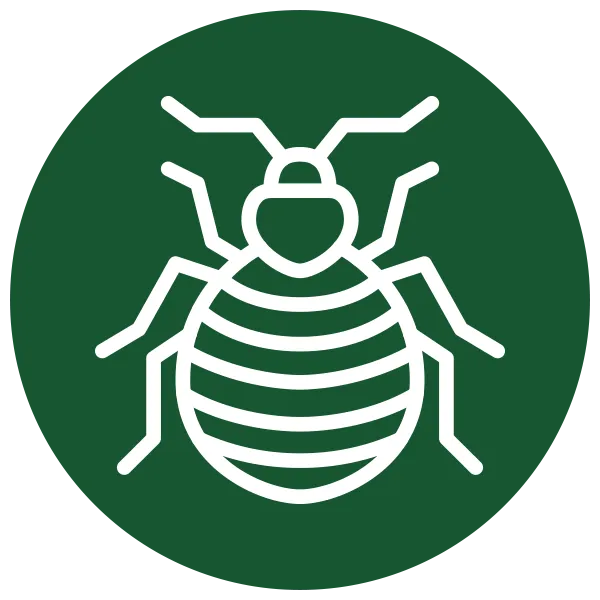 Eco Bed Bug Control Near Me Green Icon