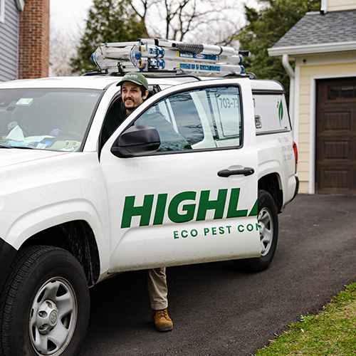 One of the Best Pest Control Exterminators in Arlington looking for pests