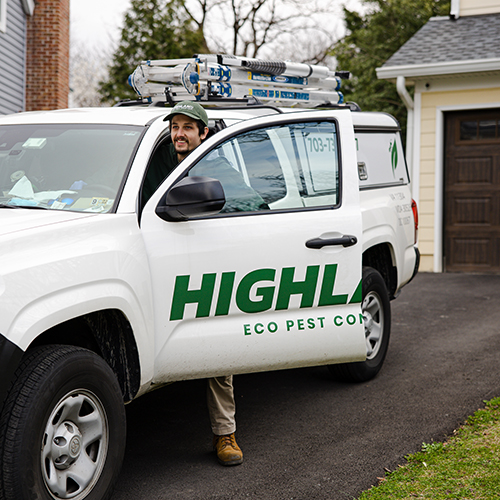 One of the Best Pest Control Exterminators in Hyattsville looking for pests