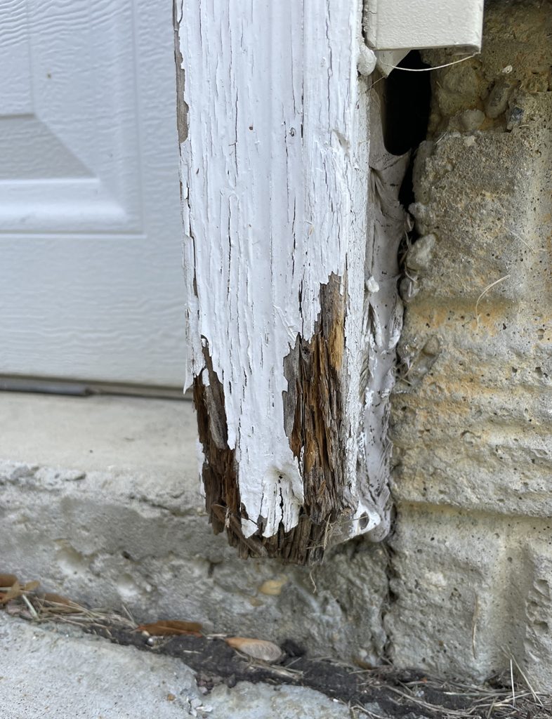 An Arlington VA home with termite damage on wood moulding