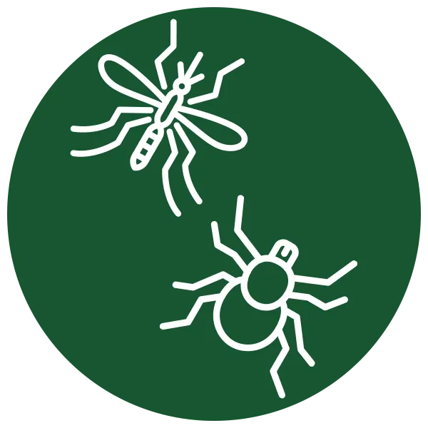 Eco Mosquito Control Near Me Green Icon