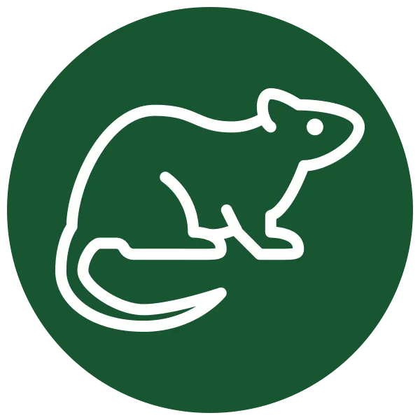 Eco Rat Control Near Me Green Icon