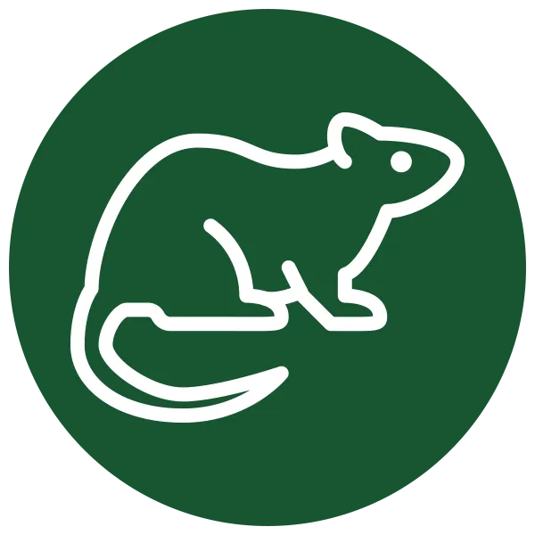 Eco Rodent Control Near Me Green Icon