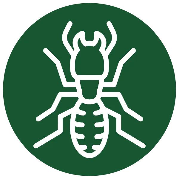 Eco Termite Control Near Me Green Icon