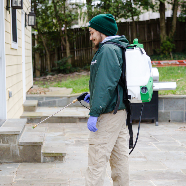 A pest contol technician treating crawling insects in Arlington, VA