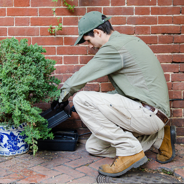 a rat and rodent extermination company technician in Silver Spring, MD