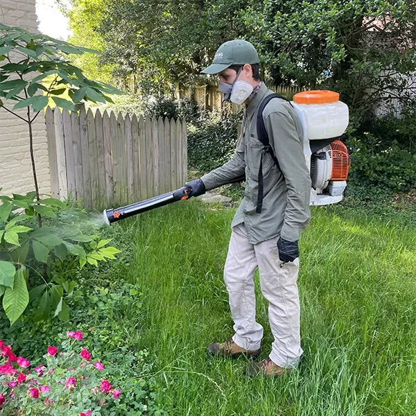 a mosquito treatment technician spraying a backyard with eco friendly mosquito spray in VA a mosquito treatment technician spraying a backyard with eco friendly mosquito spray in VA