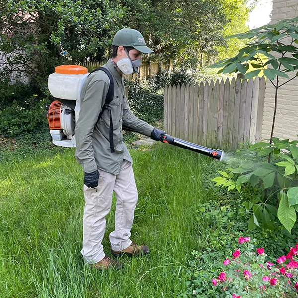 A mosquito & Tick treatment in an Bethesda, MD backyard