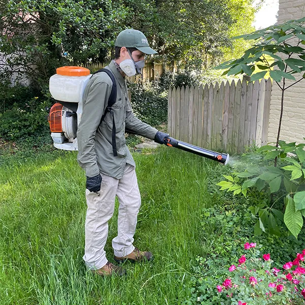 A mosquito & Tick treatment in an Falls Church, VA backyard