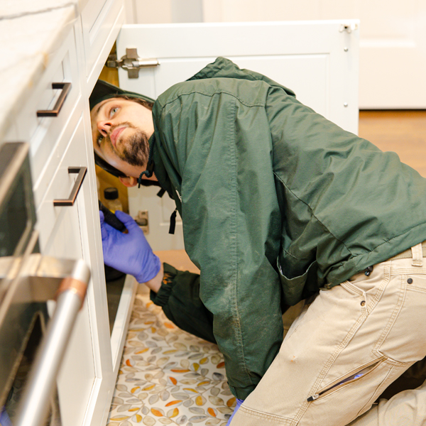 A pest control company technician in Arlington, VA