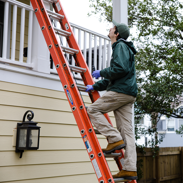 A pest control technician on a ladder removing stinging insects